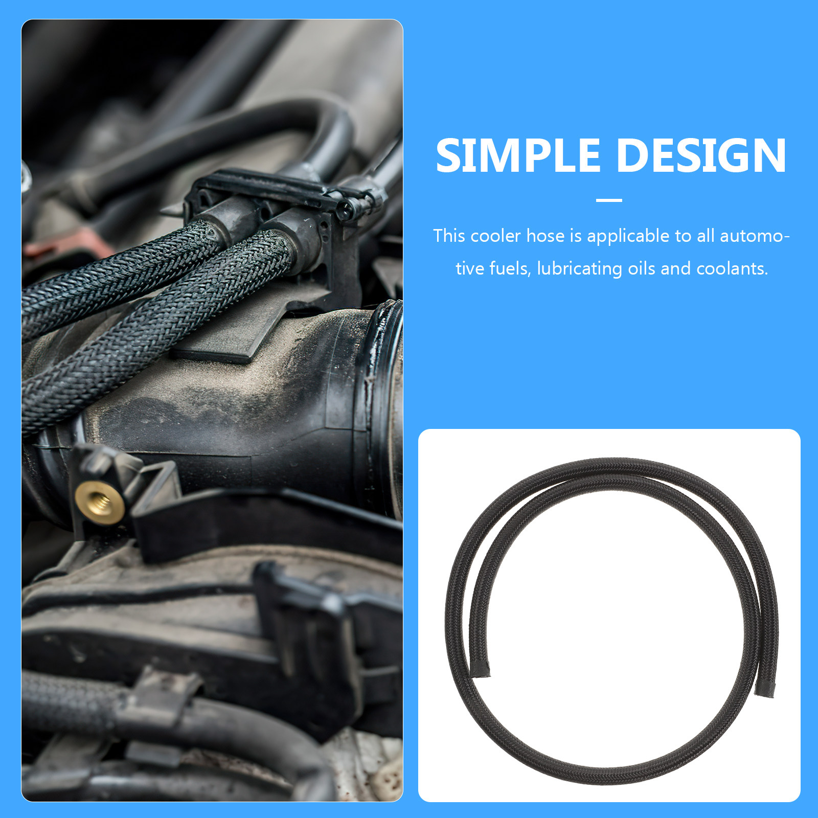 Getriebekühlerleitung An6 Nylo – Flexible Hose Braided Bewertung und Preis